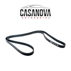 Bandas de Accesorios para Renault Clio marca Dayco OEM 5PK1905